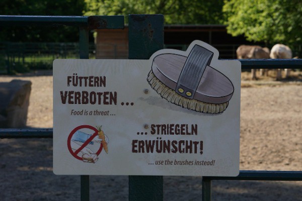 包容性设计支持